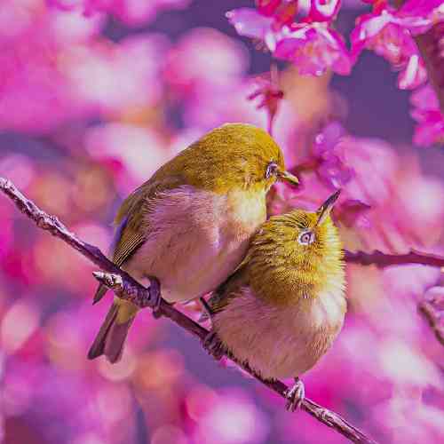 شیطونه میگه بزن بکش بسوزه تر و خشک از ریزو درشت له کنی همه رو